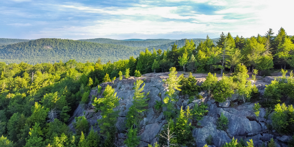 A Perfect Day Trip to North Hudson: Hike, Explore, and Unwind at Paradox Brewery